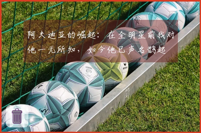 阿夫迪亚的崛起：在全明星前我对他一无所知，如今他已声名鹊起